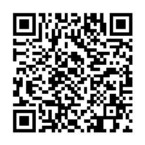 仿佛不这样就体现不出他和张东城关系的与众不同来二维码生成