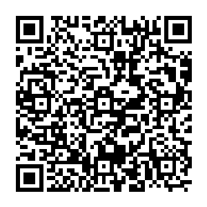 仿佛他们根本不曾存在过似的……甚至连一些拥有稀薄的龙之血脉的异兽也是越来越少了二维码生成
