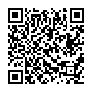 仿佛双方都有着信心自己一方一定会获得胜利一般二维码生成