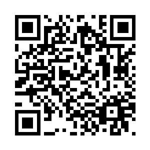 仿佛她和家主之间是完全……平等的二维码生成