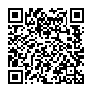伊贺房地产集团和大成房地产集团的人就前往拍卖公司二维码生成