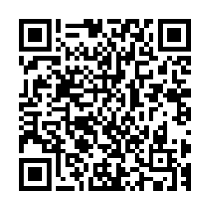 伍纤灵示意安健业上前查看伍纤灵和诗子齐是不是真的睡着了二维码生成