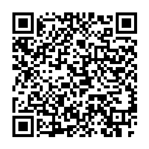 伏尔加和上海还将作为县里主要领导们的主打坐骑继续持续一两年时间二维码生成