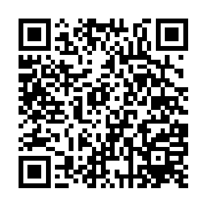 众人就感觉到了原来擂台上的翰林身影好像淡化了二维码生成