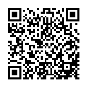 众人怎么都没想到这些小混混竟然跟着这几名小混混还认识二维码生成