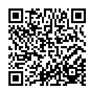 众人有些奇怪的望着在房间里大吼大叫甚至是又蹦又跳的墨二维码生成