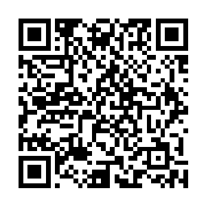 众人能够闻到的气味就只剩下这种叶子散发出来的气味了二维码生成