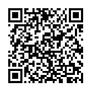 众多记者在杭州府堵到了正在当地做宣传的五行吾素二维码生成