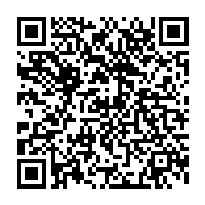 众宠物还有血幽紫陆续回到她所在的彩珠山脉边缘一座山峰底部苍翠大树下二维码生成