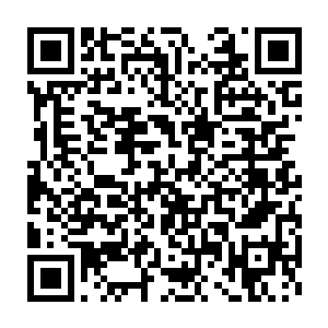 众导师全部都跟弗戈斯回到会议室研究如何才能叫洪大力继续参赛……二维码生成