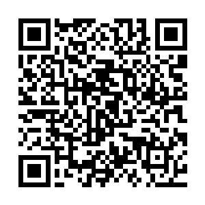 会不会心心念念的在你们曾经有过回忆的地方来回忆你们的过往二维码生成