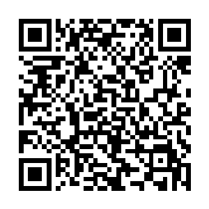 会有大批来自西方大陆和其他次大陆的骑士被招回去二维码生成