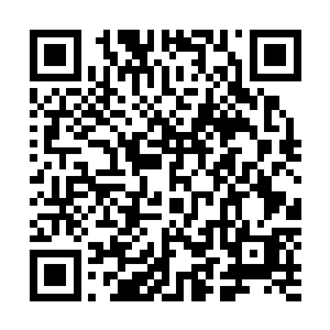会给一个勉强算上二流门派的无极宗内化神初期修士做护卫二维码生成