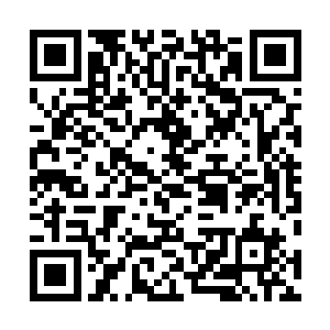 伦敦柯林斯布顿展厅的门口就已经围了一圈的群众和媒体二维码生成