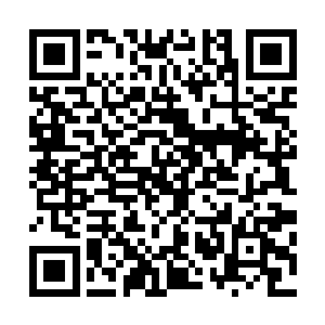 估计在野外的他们也没法立刻通过手机基站查询巴克的位置二维码生成