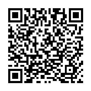 估计调查你的任务和调查金刀门详细战斗的任务也会有一些二维码生成