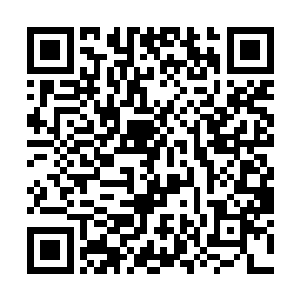 估计连川田武藏父子俩都别指望可以轻松找到他们的二维码生成