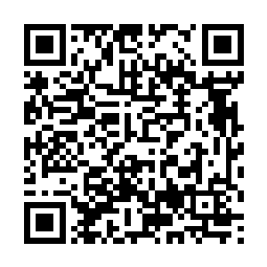 伴随着一声声无比渗人的惨叫声也是从虚空之中传来二维码生成