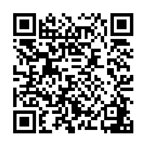 伴随着一股恐怖的气息也直接从龙傲天的身上散发出来二维码生成