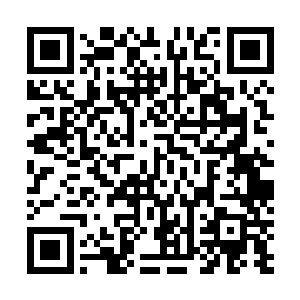 伴随着一股恐怖的狂暴的气势也是从他们的身上散发出来二维码生成