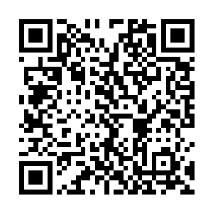 伴随着自己长大的那个梦以及梦里的伙伴竟然真的存在二维码生成
