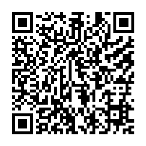 伸出一根素指在那契合的十分严密的石头与石头之间的缝隙上点了下二维码生成