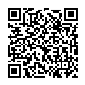 伸手之间瞬间无数锋芒的指甲直接洞穿了这条大蛇二维码生成