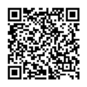 似乎也只有如此才说得通为什么没有伴生灵兽的传闻流传下来二维码生成