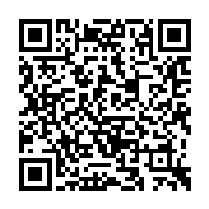 似乎十分希望马纵横能够同意并且采用他的计策二维码生成