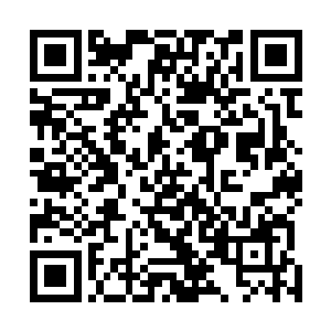 似乎在第一阶派出了很多人来专门猎杀其他的游戏参与者二维码生成