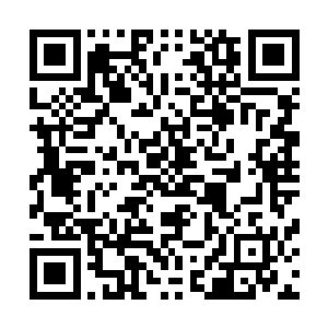 似乎在等着见识吴岩和龙嘉怎么让他们再不出现的白龙公子二维码生成