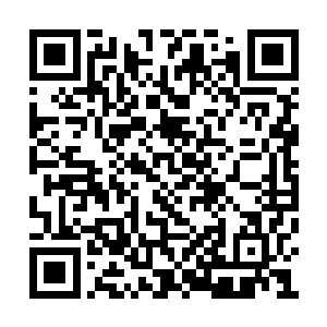 似乎是在埋怨孙子轩为什么只用王昭君教的方法二维码生成