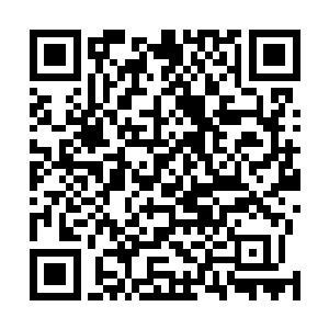 似乎有些不敢相信杨开与这位人族强者居然是这样的关系二维码生成