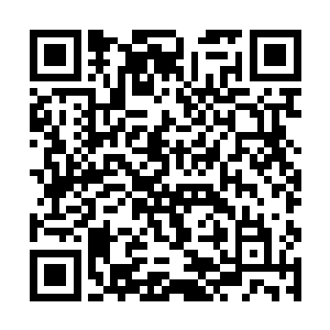 似乎没料到会被这面生房客看破自己临时起意的善举二维码生成