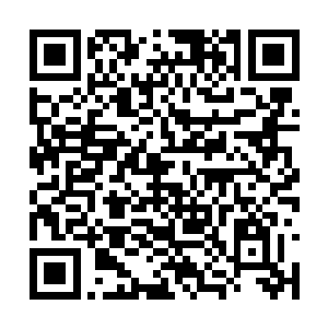 似乎这几十万年前的人完全不懂得男女之间的事情二维码生成