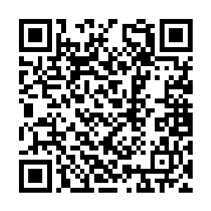 似乎金在珉的优秀不仅体现在他的人品和才华上面二维码生成