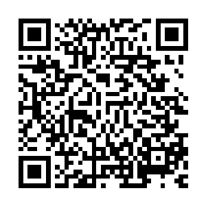 但不能确定就是君媛媛绑架了柳青莲……他们还应该想别的办法二维码生成