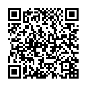 但为了万无一失每隔两个时辰他都会去山顶看上一眼二维码生成