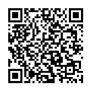 但为什么这个年轻后辈能给他这种老江湖出乎意料的震撼二维码生成