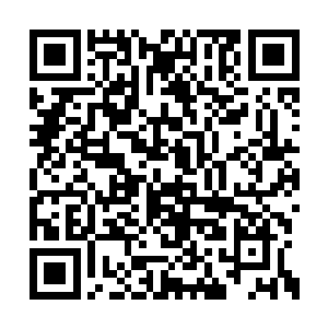 但也只能看到视野中那一颗颗闪烁着的蓝色光点二维码生成