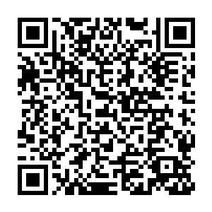 但事已至此任谁都无法更改我和王大郎已经暴露在那女子面前的事实二维码生成