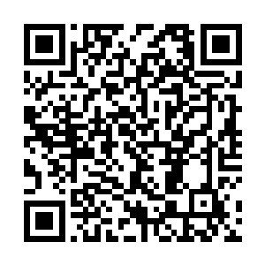 但人元金丹可是凝聚了武帝级别强者大部分实力的至宝二维码生成