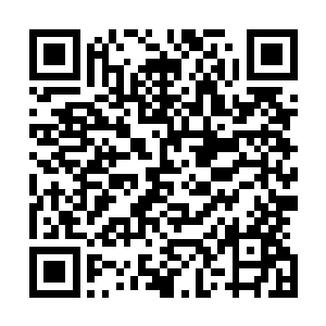 但仅仅是她这一下午了解到的就已经给了她足够大的惊喜了二维码生成