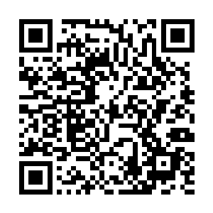 但仍然把那棵两人合抱的大树打得咔嚓一声从中断折二维码生成