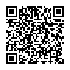 但他不可能每一次打团都能放出这么完美的大招二维码生成