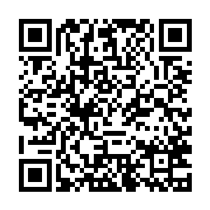但他也想要看看夏天还能不能给他带来更多的惊喜了二维码生成