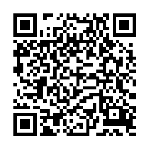 但他们团战的对象从来都只是人以及大型的沙漠猛兽二维码生成