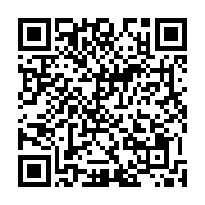 但他们急于想要知道眼前的小孩到底是不是真的新生大巫二维码生成