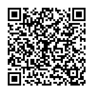 但他们所发起的攻击在那五色光手面前也依旧显得是那么的不堪一击二维码生成