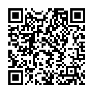 但他们此刻第一批所召唤出来的神国战士却都极为强大二维码生成